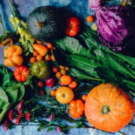 Profile picture of foodhubmarket